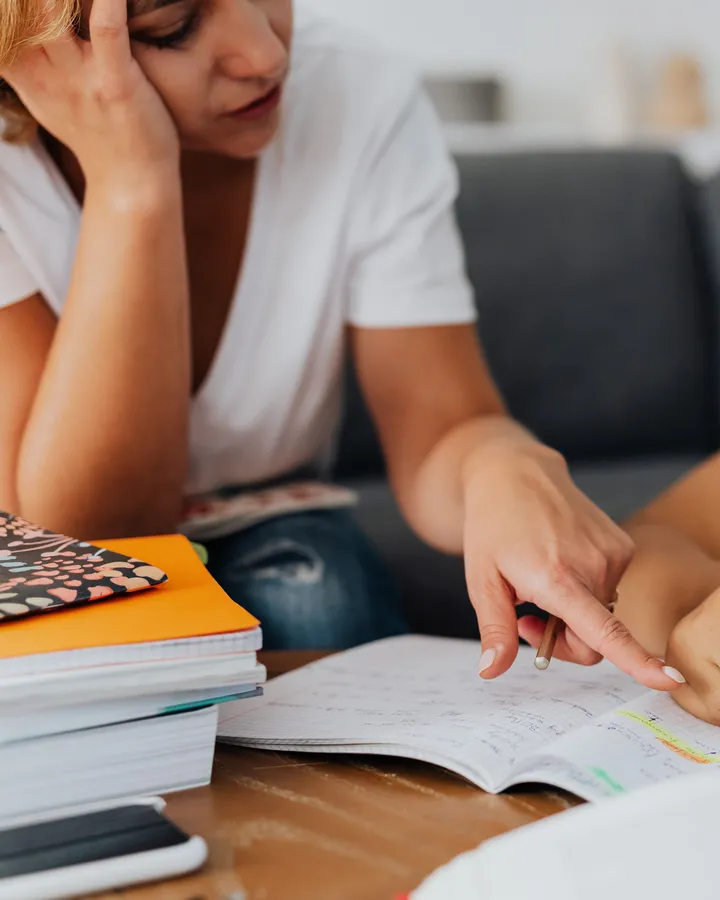 Student reviewing healthcare learning notes at a sunlit table