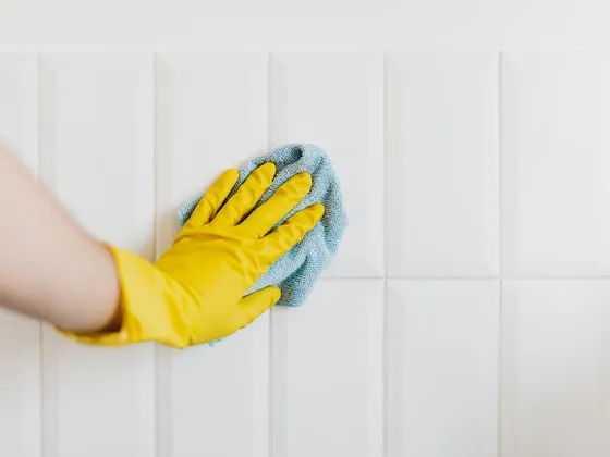 A bright, freshly cleaned bathroom
