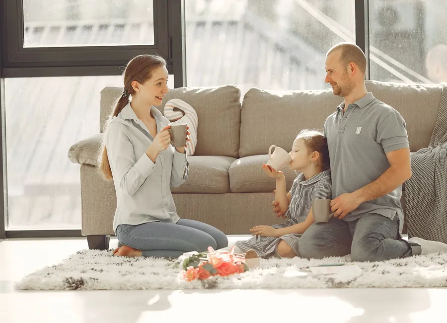 Sunlit spotless family room after a cleaning refresh
