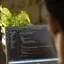 Person&nbsp;focused&nbsp;on&nbsp;coding&nbsp;with&nbsp;laptop&nbsp;and&nbsp;plant&nbsp;in&nbsp;view,&nbsp;highlighting&nbsp;a&nbsp;modern&nbsp;work&nbsp;environment.
