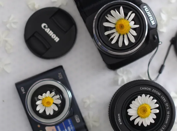 Camera,&nbsp;flowers,&nbsp;and&nbsp;printed&nbsp;photographs&nbsp;arranged&nbsp;on&nbsp;a&nbsp;studio&nbsp;table