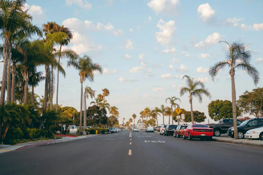 Scenic&nbsp;view&nbsp;of&nbsp;a&nbsp;palm-lined&nbsp;street&nbsp;in&nbsp;San&nbsp;Diego&nbsp;with&nbsp;parked&nbsp;cars&nbsp;and&nbsp;a&nbsp;clear&nbsp;sky.
